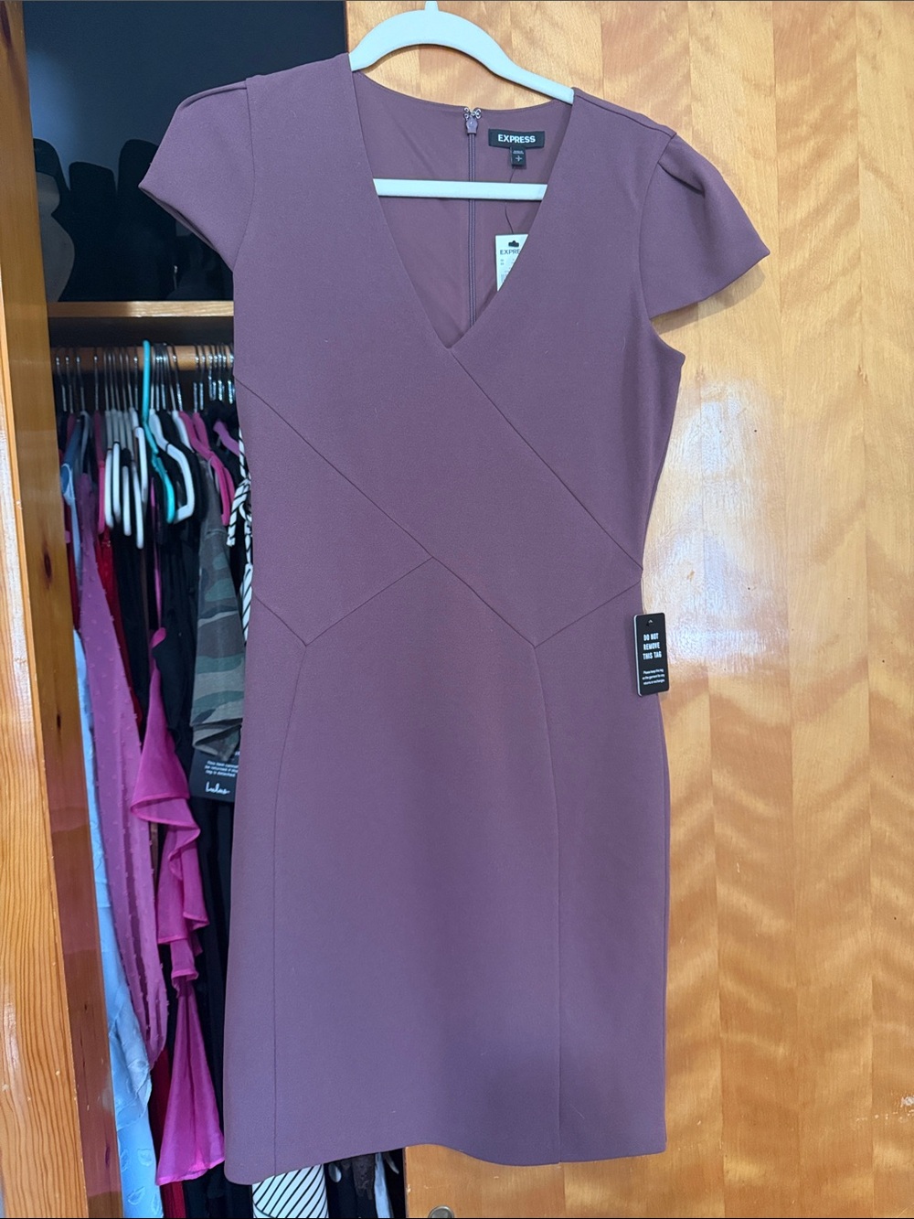 Express Plum V-Neck Sheath Dress
